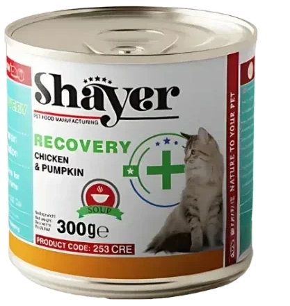 شایر کنسرو ریکاوری گربه مرغ وکدو حلوائی